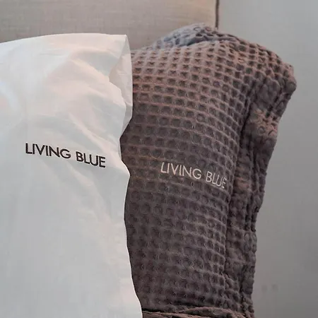 Living Blue In Tinos Apartament *