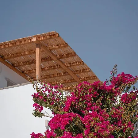 Living Blue In Tinos * Kardhianí